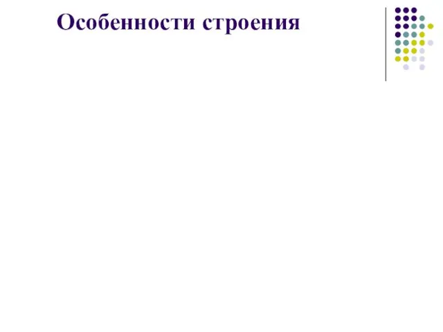 Особенности строения