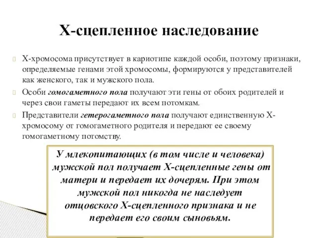 Х-хромосома присутствует в кариотипе каждой особи, поэтому признаки, определяемые генами этой