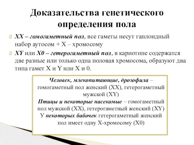 ХХ – гомогаметный пол, все гаметы несут гаплоидный набор аутосом +