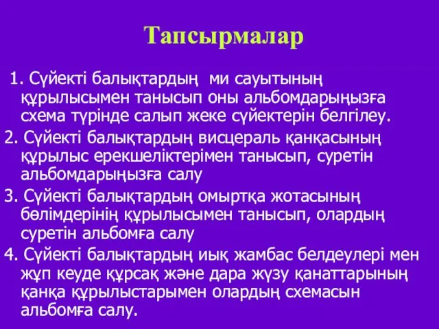 Тапсырмалар 1. Сүйекті балықтардың ми сауытының құрылысымен танысып оны альбомдарыңызға схема