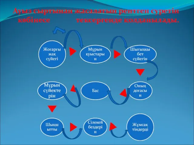 Ауыз сыртынан жасалатын рентген суретін көбінесе тексергенде қолданылады.