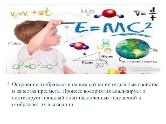 Ощущение отображает в нашем сознании отдельные свойства и качества предмета. Процесс