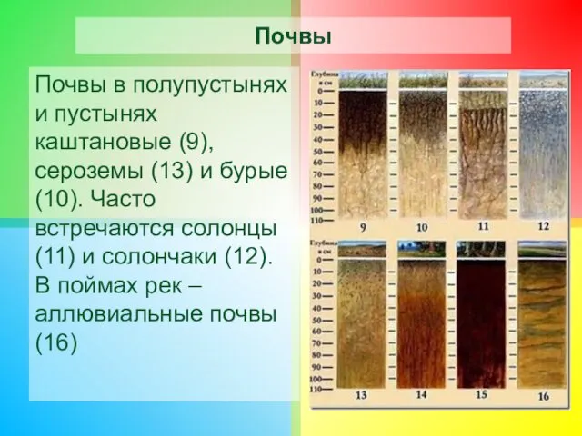 Почвы Почвы в полупустынях и пустынях каштановые (9), сероземы (13) и