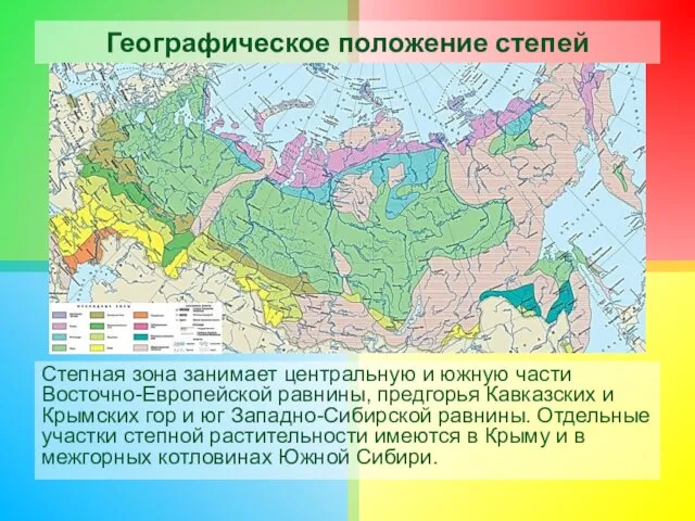 Географическое положение степей Степная зона занимает центральную и южную части Восточно-Европейской