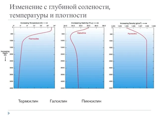 Изменение с глубиной солености, температуры и плотности Термоклин Галоклин Пикноклин