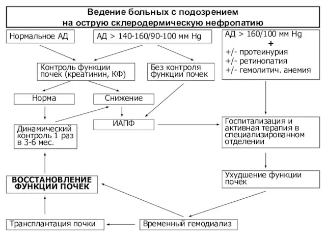 Ведение больных с подозрением на острую склеродермическую нефропатию АД > 140-160/90-100