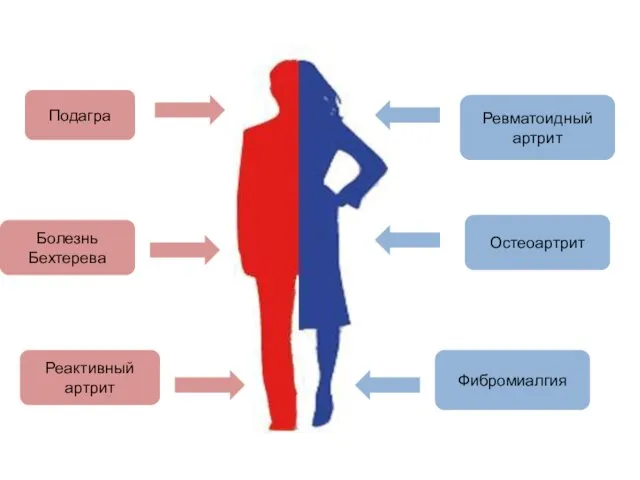 Подагра Болезнь Бехтерева Реактивный артрит Ревматоидный артрит Остеоартрит Фибромиалгия
