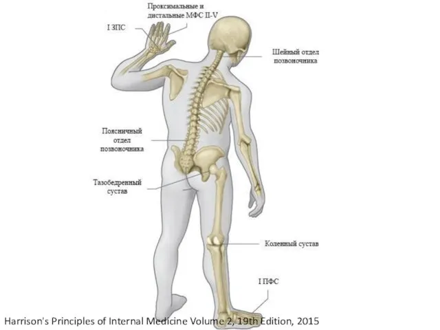 Harrison's Principles of Internal Medicine Volume 2, 19th Edition, 2015