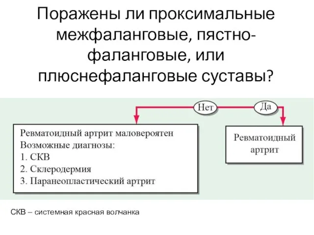 Поражены ли проксимальные межфаланговые, пястно-фаланговые, или плюснефаланговые суставы? СКВ – системная красная волчанка