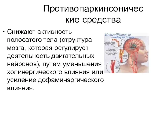 Противопаркинсонические средства Снижают активность полосатого тела (структура мозга, которая регулирует деятельность