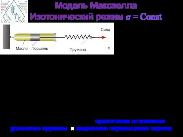 Модель Максвелла Изотонический режим σ = Сonst При быстром возникновении напряжения