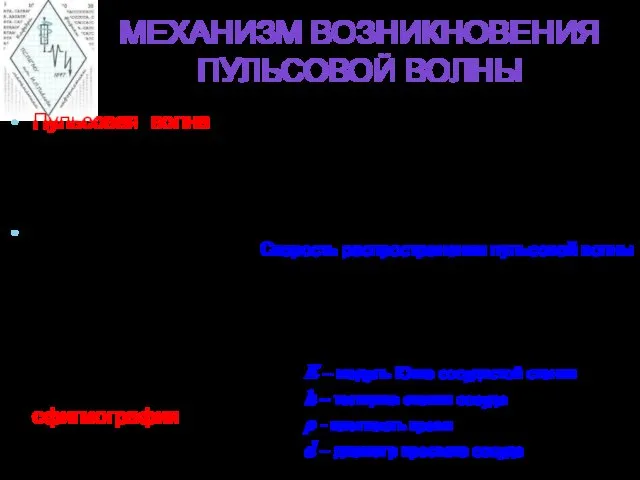 МЕХАНИЗМ ВОЗНИКНОВЕНИЯ ПУЛЬСОВОЙ ВОЛНЫ Пульсовая волна – распространяющаяся вдоль артерии волна