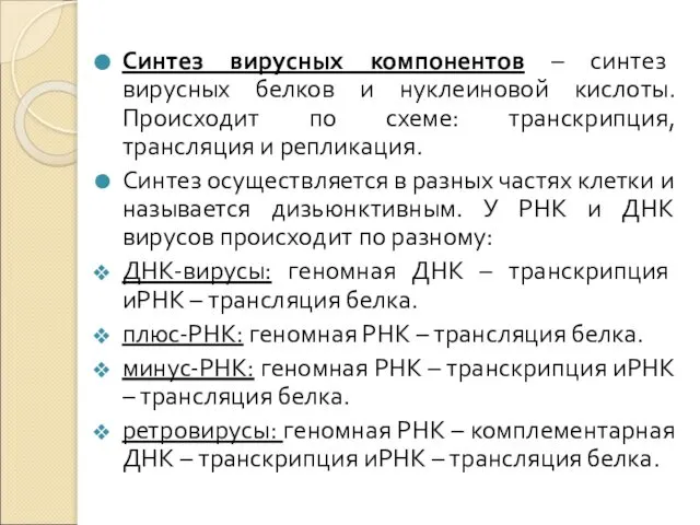 Синтез вирусных компонентов – синтез вирусных белков и нуклеиновой кислоты. Происходит