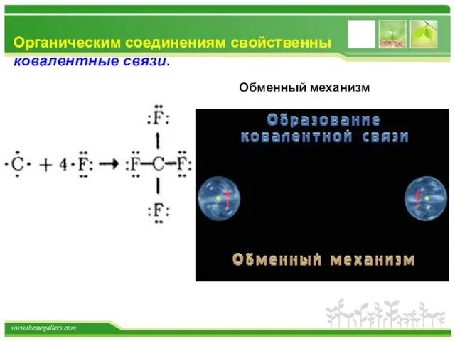 Органическим соединениям свойственны ковалентные связи. Обменный механизм