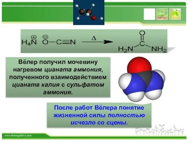 Вёлер получил мочевину нагревом цианата аммония, полученного взаимодействием цианата калия с