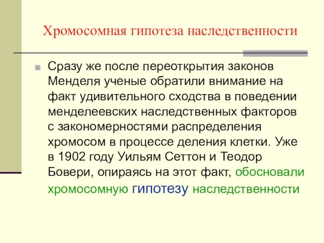 Хромосомная гипотеза наследственности Сразу же после переоткрытия законов Менделя ученые обратили