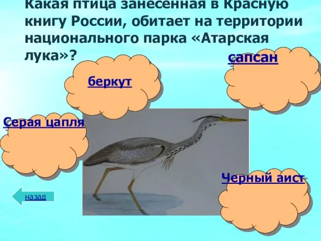 Какая птица занесенная в Красную книгу России, обитает на территории национального