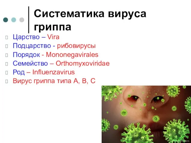 Систематика вируса гриппа Царство – Vira Подцарство - рибовирусы Порядок -