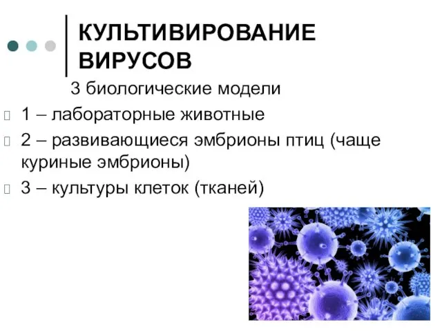 КУЛЬТИВИРОВАНИЕ ВИРУСОВ 3 биологические модели 1 – лабораторные животные 2 –