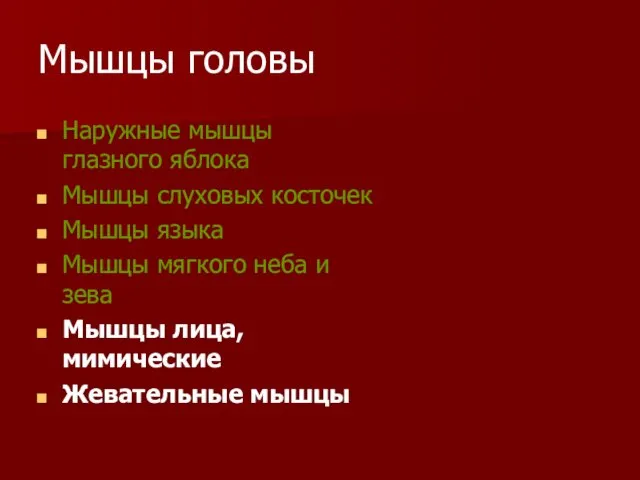 Мышцы головы Наружные мышцы глазного яблока Мышцы слуховых косточек Мышцы языка