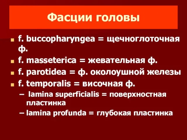 Фасции головы f. buccopharyngea = щечноглоточная ф. f. masseterica = жевательная