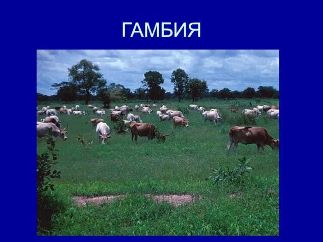 ГАМБИЯ