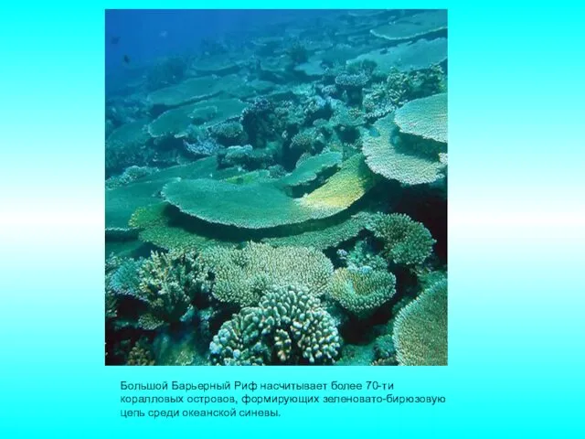 Большой Барьерный Риф насчитывает более 70-ти коралловых островов, формирующих зеленовато-бирюзовую цепь среди океанской синевы.