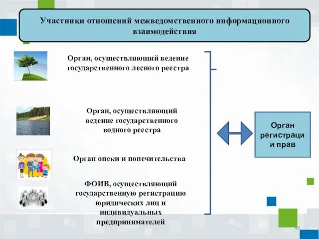 Орган регистрации прав Орган, осуществляющий ведение государственного лесного реестра Орган, осуществляющий