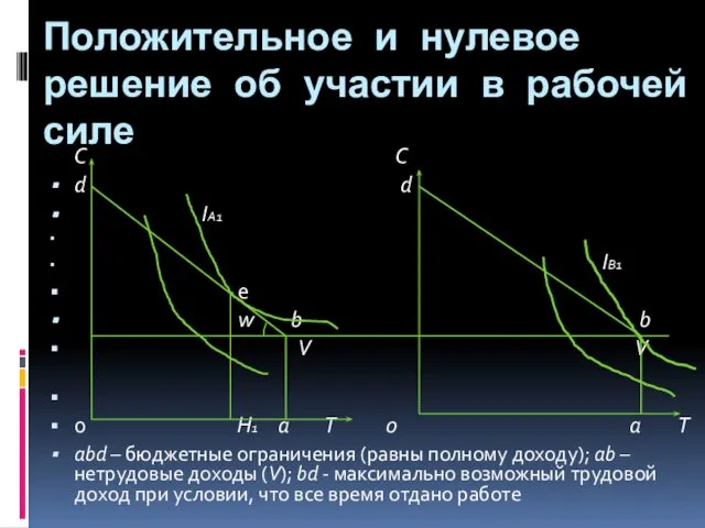 Положительное и нулевое решение об участии в рабочей силе С С