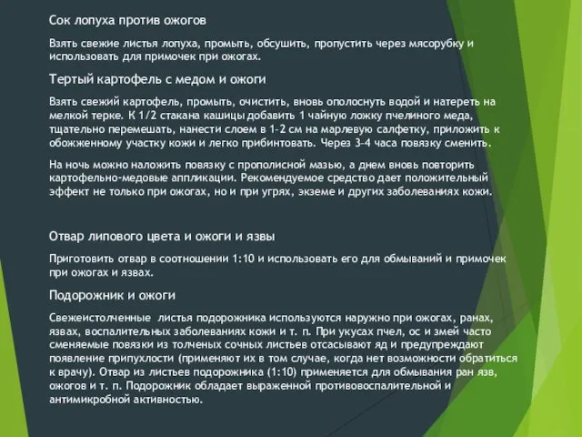 Сок лопуха против ожогов Взять свежие листья лопуха, промыть, обсушить, пропустить