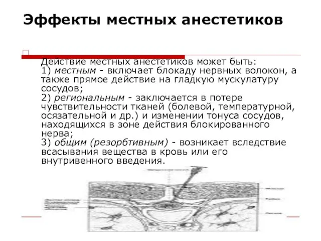 Эффекты местных анестетиков Действие местных анестетиков может быть: 1) местным -