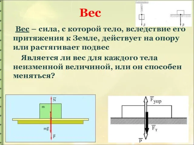 Вес Вес – сила, с которой тело, вследствие его притяжения к