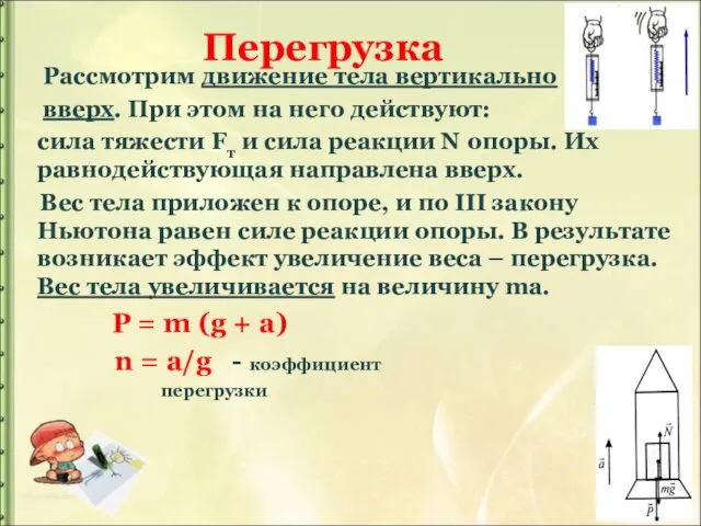 Перегрузка Рассмотрим движение тела вертикально вверх. При этом на него действуют: