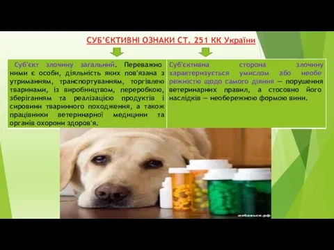 СУБ’ЄКТИВНІ ОЗНАКИ CТ. 251 КК України