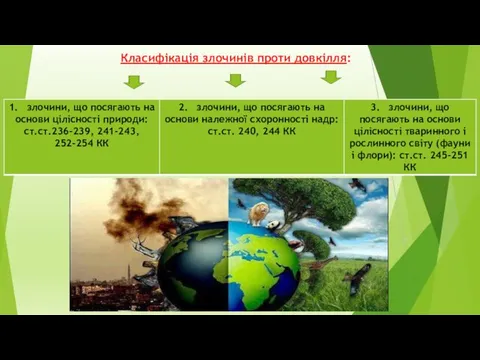 Класифікація злочинів проти довкілля: