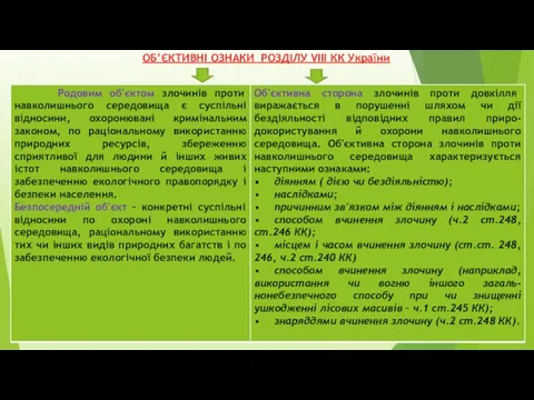 ОБ’ЄКТИВНІ ОЗНАКИ РОЗДІЛУ VIІІ КК України