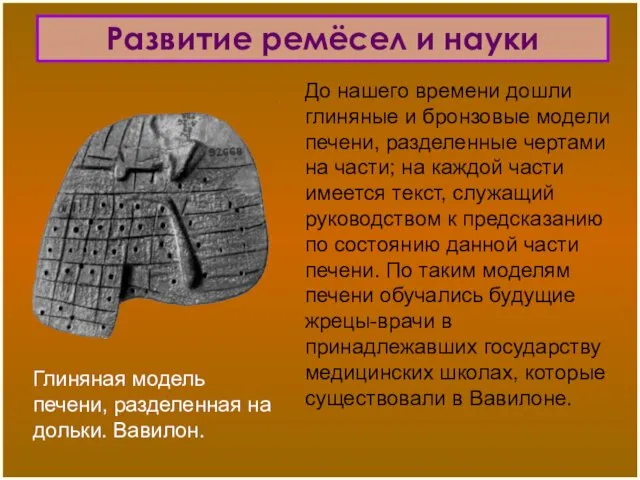 Глиняная модель печени, разделенная на дольки. Вавилон. До нашего времени дошли