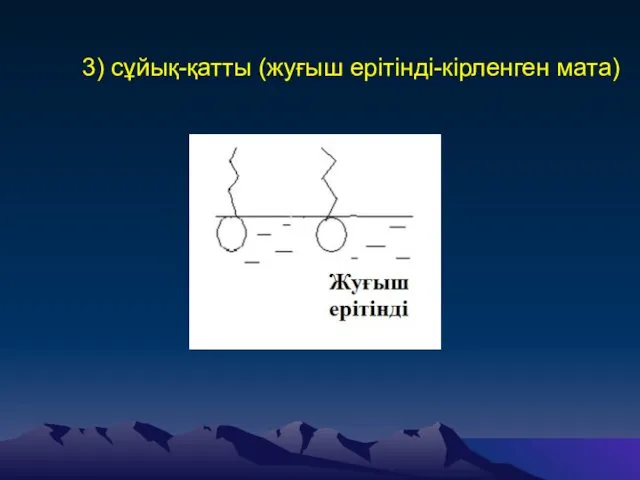 3) сұйық-қатты (жуғыш ерітінді-кірленген мата)