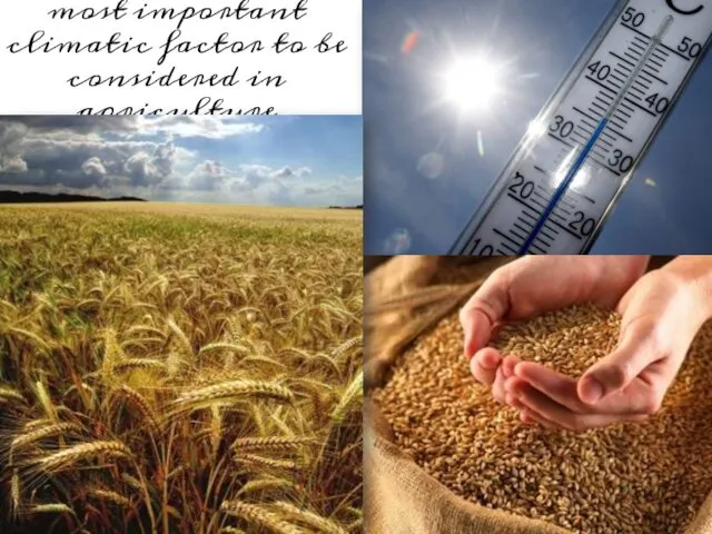 Temperature is the most important climatic factor to be considered in agriculture production.
