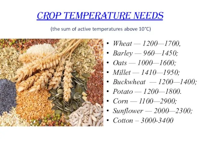 CROP TEMPERATURE NEEDS (the sum of active temperatures above 10°C) Wheat