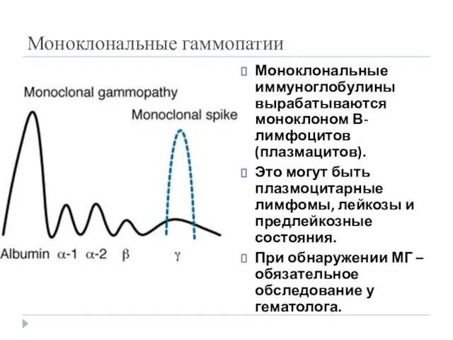 Моноклональные гаммопатии Моноклональные иммуноглобулины вырабатываются моноклоном В-лимфоцитов (плазмацитов). Это могут быть