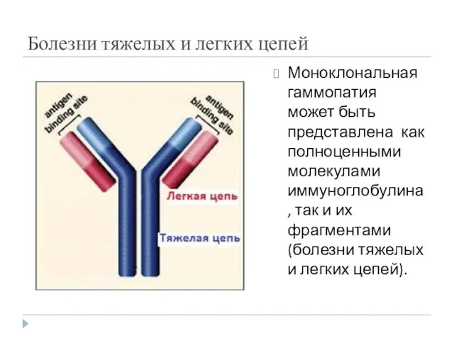 Болезни тяжелых и легких цепей Моноклональная гаммопатия может быть представлена как