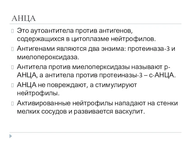 АНЦА Это аутоантитела против антигенов, содержащихся в цитоплазме нейтрофилов. Антигенами являются