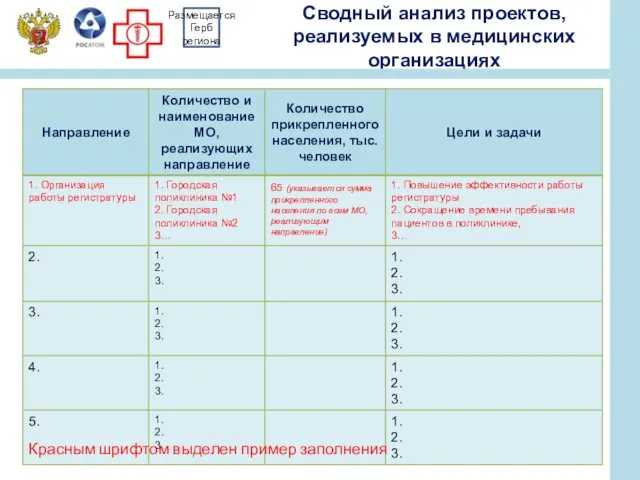 Сводный анализ проектов, реализуемых в медицинских организациях Размещается Герб региона Красным шрифтом выделен пример заполнения