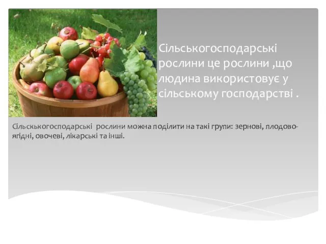 Сільськогосподарські рослини це рослини ,що людина використовує у сільському господарстві .