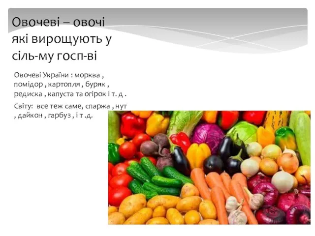 Овочеві України : морква , помідор , картопля , буряк ,