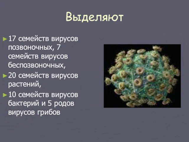 Выделяют 17 семейств вирусов позвоночных, 7 семейств вирусов беспозвоночных, 20 семейств