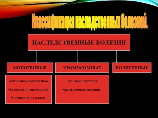 Классификация наследственных болезней. МОНОГЕННЫЕ ХРОМОСОМНЫЕ ПОЛИГЕННЫЕ НАСЛЕДСТВЕННЫЕ БОЛЕЗНИ Аутосомно-доминантные Аутосомно-рецессивные Сцепленные