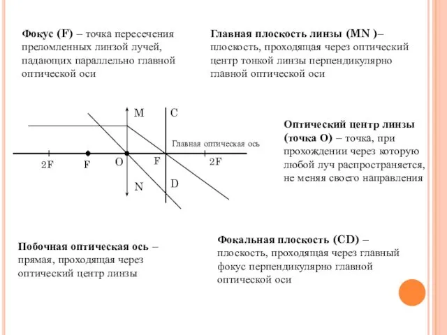 Фокус (F) – точка пересечения преломленных линзой лучей, падающих параллельно главной