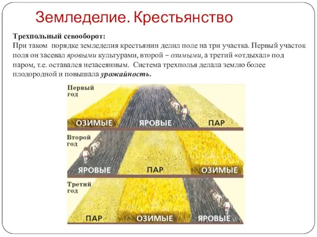 Земледелие. Крестьянство Трехпольный севооборот: При таком порядке земледелия крестьянин делил поле